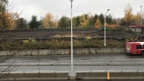 Snapshot of Greenboro Station - October 26, 2020